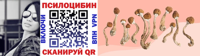 маркетплейс клад  Балабаново  Псилоцибиновые грибы GOLDEN TEACHER 